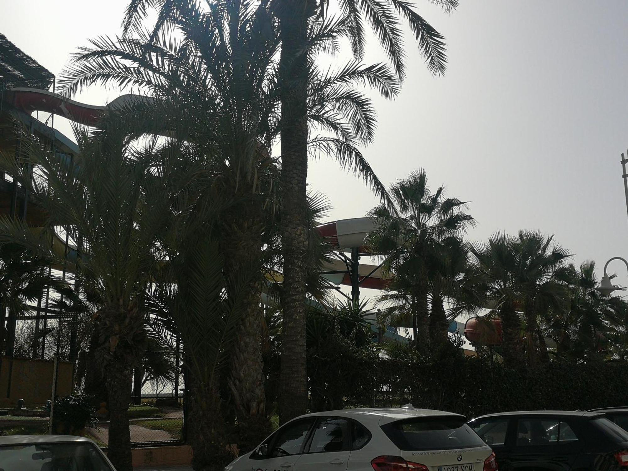 Apartamento Playa Velilla Park II อัลมูเญการ์ ภายนอก รูปภาพ